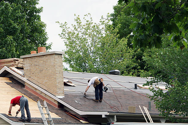 Best Roof Insulation Installation  in Willmar, MN